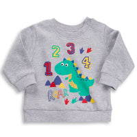 Baby Dinosaur Print Sweatshirt