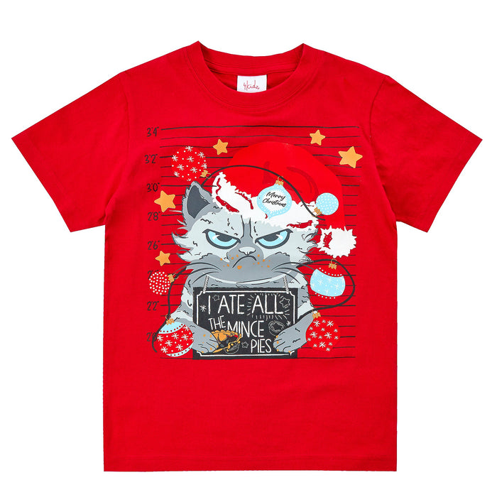 Boys Christmas Cat I Ate All Mince Pies Novelty T-Shirt