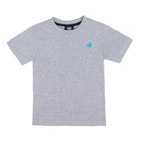 Boys Short Sleeved Embroidered Essential T-Shirt Grey