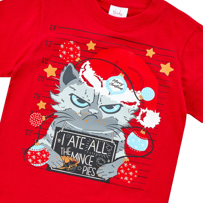 Boys Christmas Cat I Ate All Mince Pies Novelty T-Shirt
